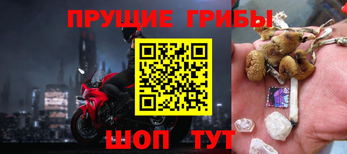 Галлюциногенные грибы Cubensis Бутурлиновка