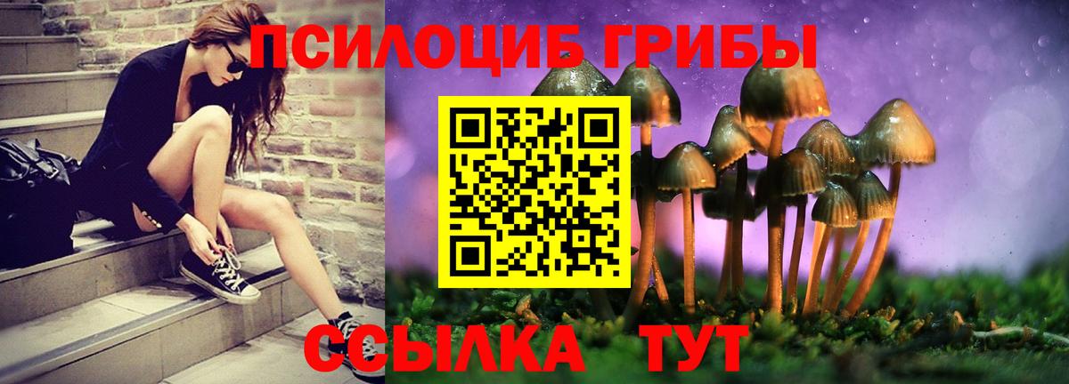 Псилоцибиновые грибы Magic Shrooms  Вход с VPN  Бутурлиновка  Псилоцибиновые грибы Psilocybe 